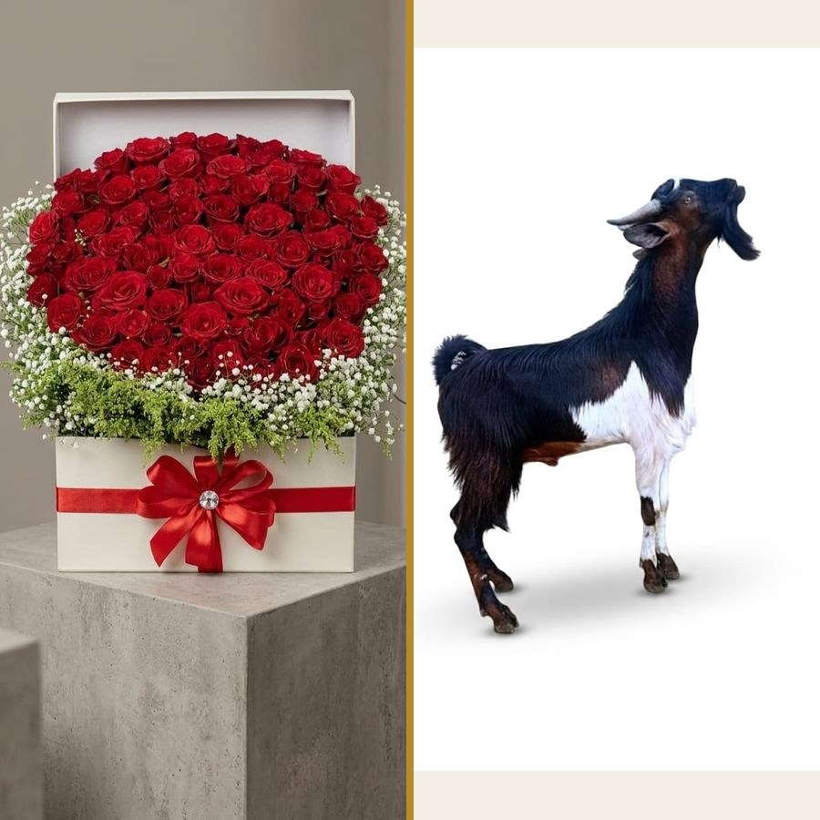Aras Package - Flowers & Goat