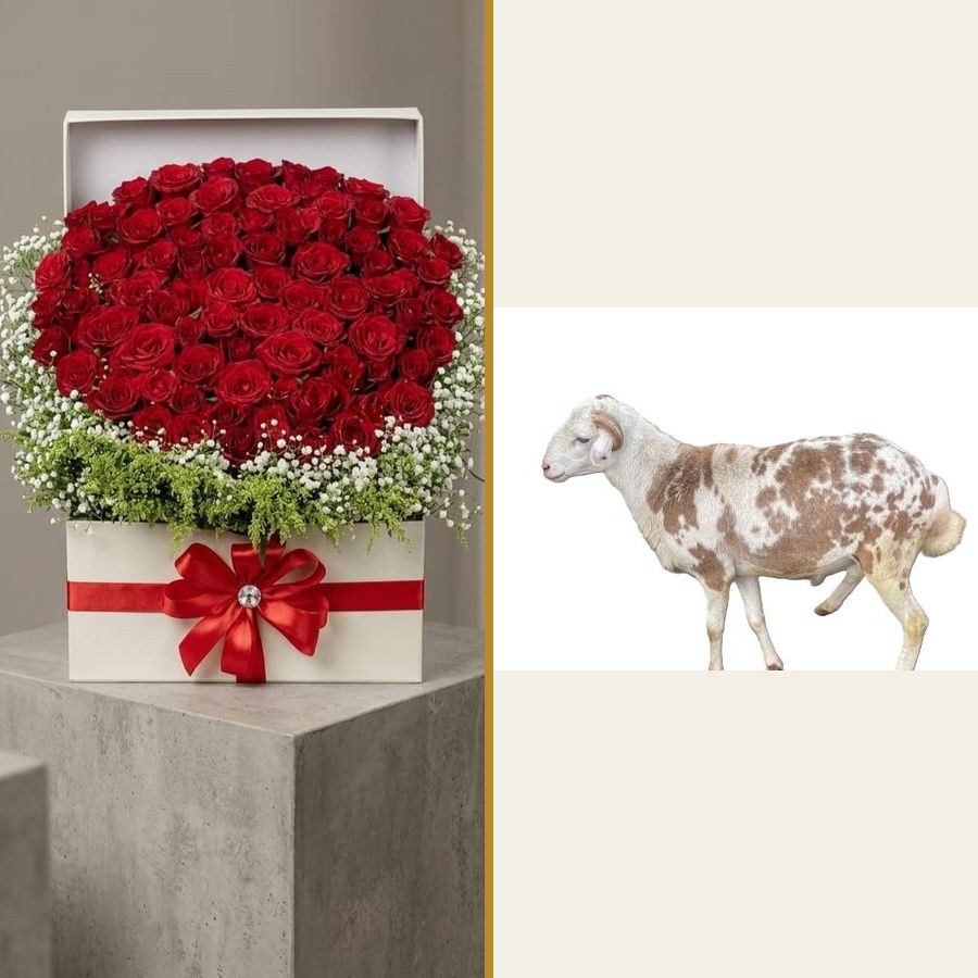 Aras Package - Flowers & Sheep
