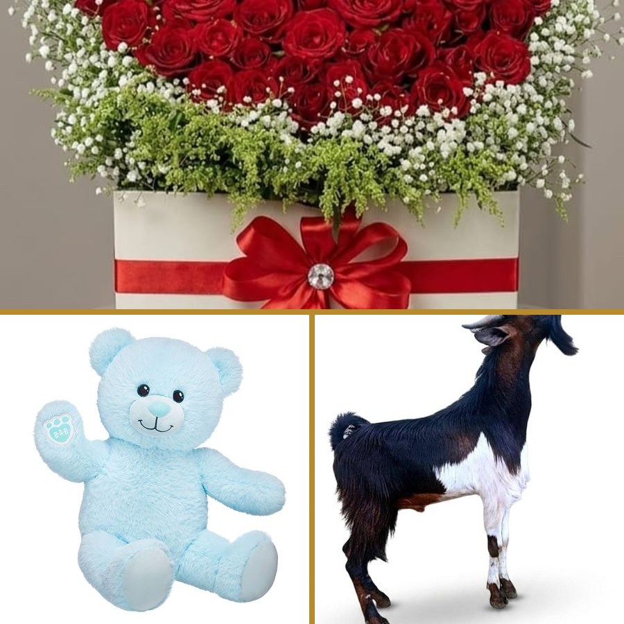 Aras Package - Flowers, Teddy Bear & Goat